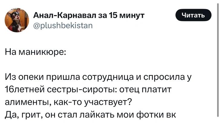 Источник: X (Twitter)