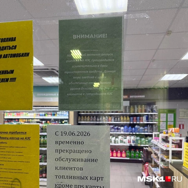 Источник: Иветта Авраамова / MSK1.RU