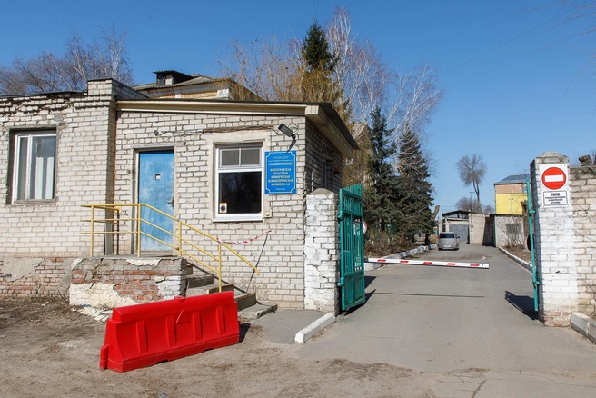 В облздраве уверяют: пациент покалечил себя сам | Источник: Алексей Волхонский / V1.RU