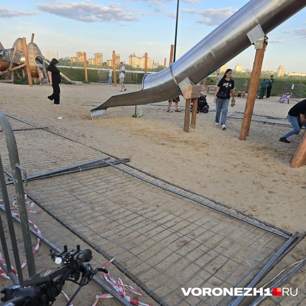 Источник: Ирина Булгакова \ Voronezh1.ru