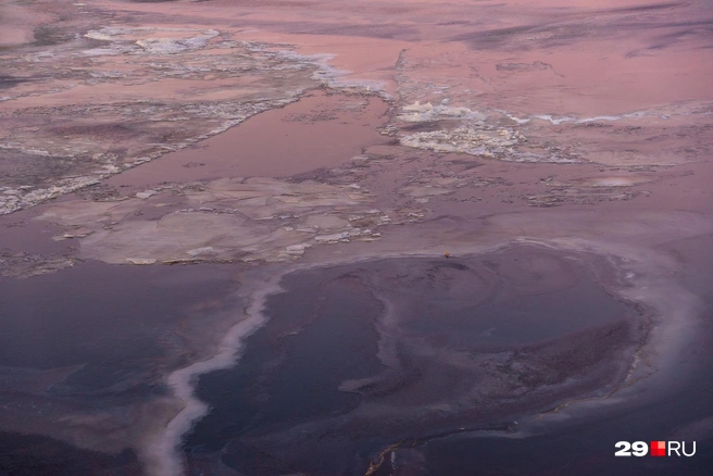 Источник: Иван Митюшёв / 29.RU