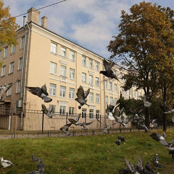 В школе на севере Петербурга, где рухнул потолок, начнут ремонт в следующем году | Источник: Михаил Асташкевич глава администрации Калининского района Санкт-Петербурга 