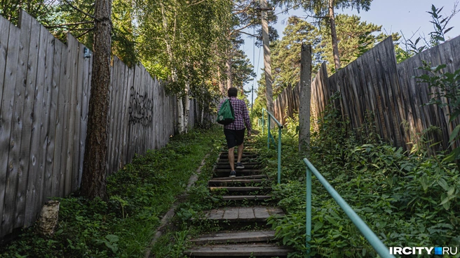Лесенки ведут в лес | Источник: Кирилл Фалеев / «ИрСити»