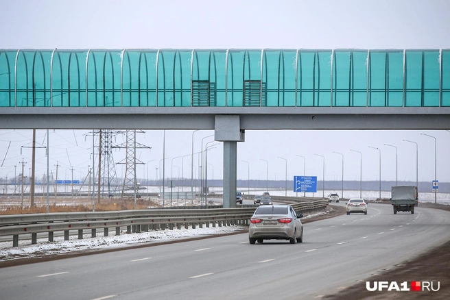 Участок трассы М-7 в Башкирии закроют на 2 месяца | Источник: Тимур Шарипкулов / UFA1.RU