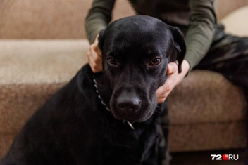 Источник: Ирина Шарова / 72.RU