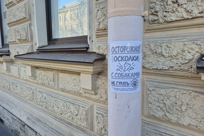 Василеостровцев просят беречь собак от осколков