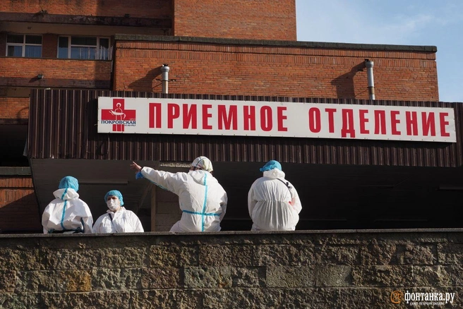 Тысячи заболевших в России, новые смерти в Петербурге и совещание Путина — главное о коронавирусе 6 мая | Источник: Михаил Огнев/"Фонтанка.ру"