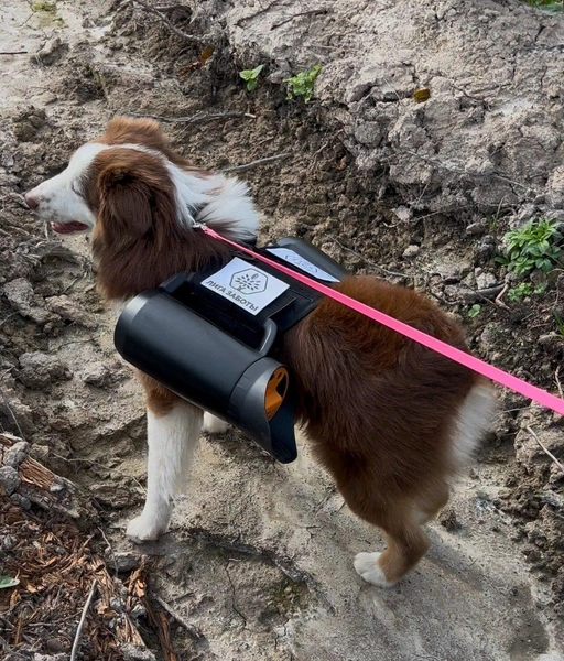 Источник: Пресс-служба