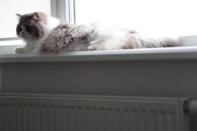 В Новосибирске определены условия окончания отопительного сезона