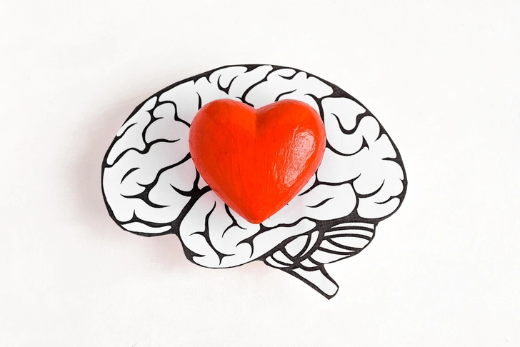 Нейробиология романтических чувств: что происходит с мозгом, когда человек влюбляется | Источник: Anna Nikonorova/Shutterstock/Fotodom.ru