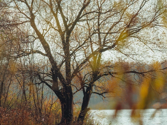 Источник: Александр Воднев