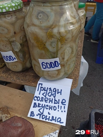 Источник: Иван Митюшёв / 29.RU