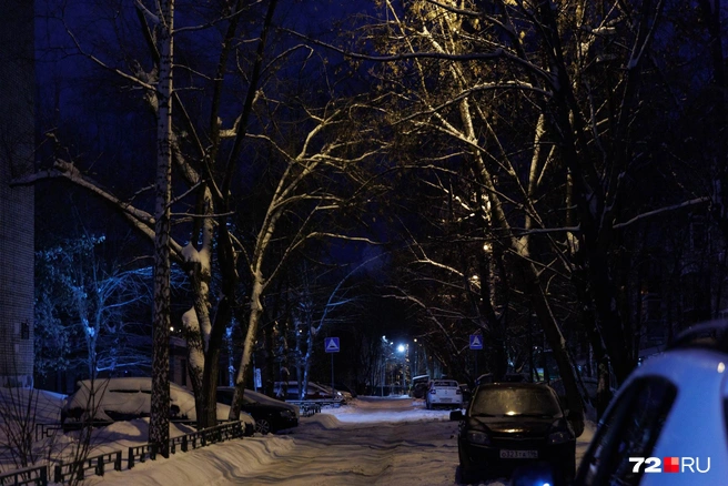 Во дворах тихо  | Источник: Ирина Шарова / 72.RU