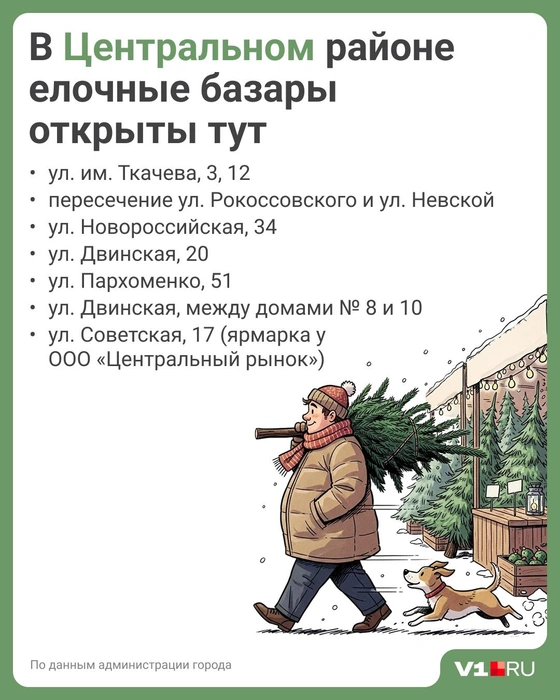 Источник: Полина Авдошина