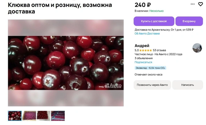 Источник: Avito.ru