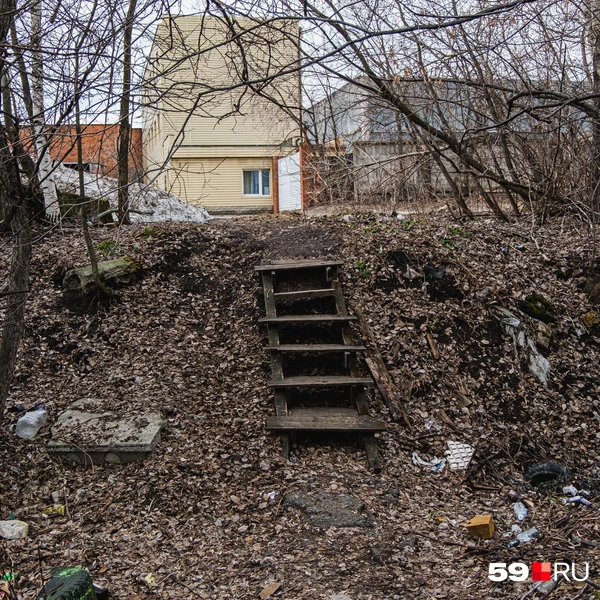Поднимаемся по шаткой лесенке в гору | Источник: Тимофей Калмаков / 59.RU