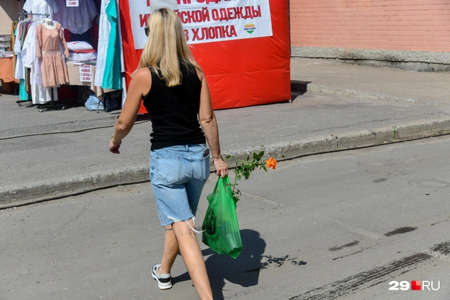 Источник: Иван Митюшёв