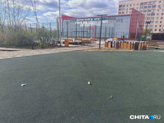 Источник: Любовь Никитина / CHITA.RU