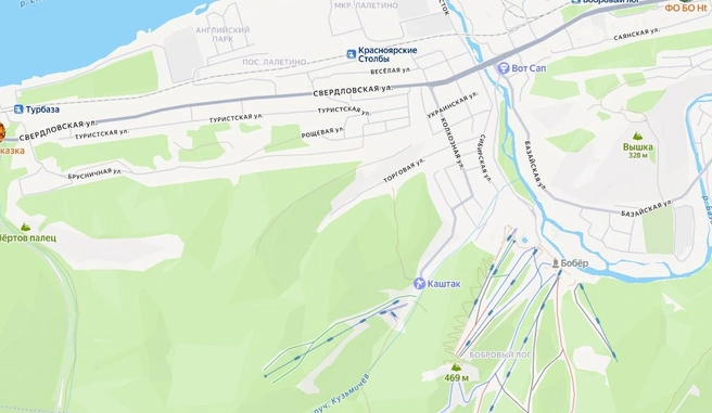 Несколько улиц между лесом | Источник: yandex.ru/maps