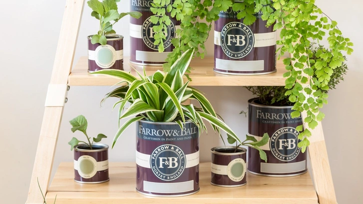 75 лет Farrow & Ball: 10 любопытных фактов к юбилею бренда