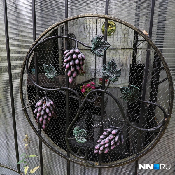 Источник: Наталья Бурухина / NN.RU