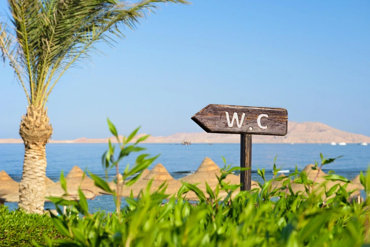 То запор, то диарея: почему в отпуске так часто случаются проблемы с ЖКТ и как их избежать | Источник: Andrei Kuzmik/Shutterstock/Fotodom.ru