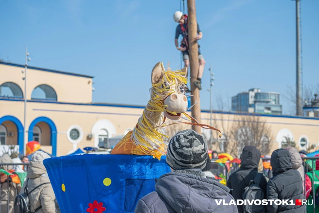 Источник: Елена Буйвол / VLADIVOSTOK1.RU