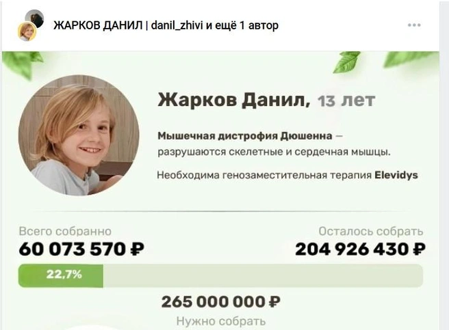 Столько средств требовалось еще два дня назад | Источник: Данил Жарков / Vk.com/danil_zhivi 