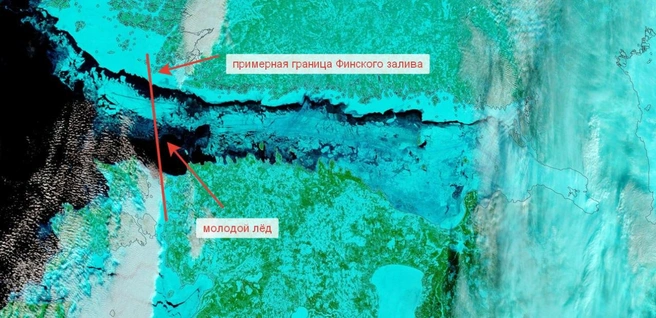 Финский залив полностью сковало льдом. Это лишь на миг | Источник: Телеграм-канал Александра Колесова