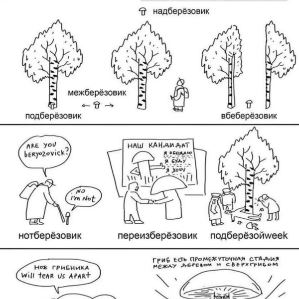 Источник: соцсети