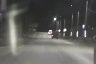 Водителя Tiguan в Ленобласти остановили выстрелами после погони