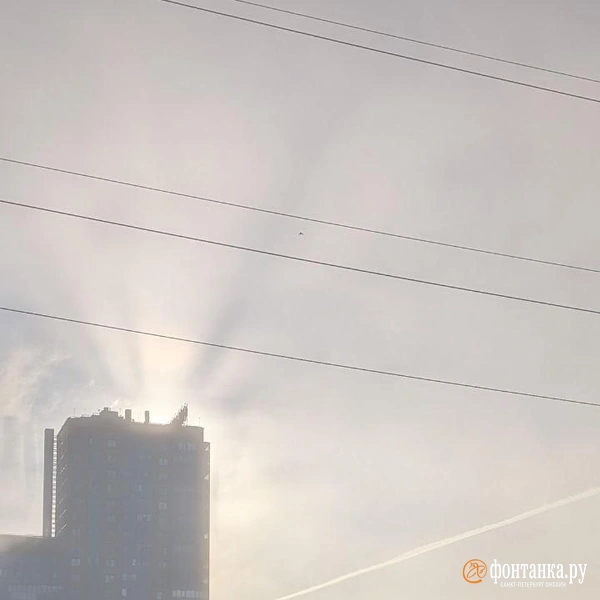 Источник: читатель «Фонтанки»