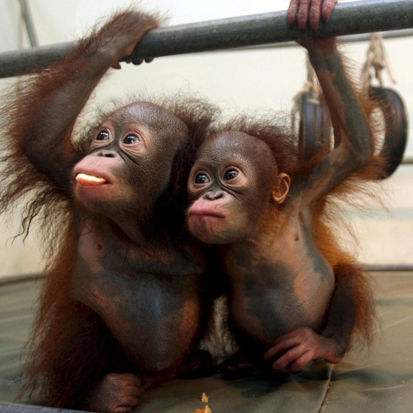 Источник: Соцсети