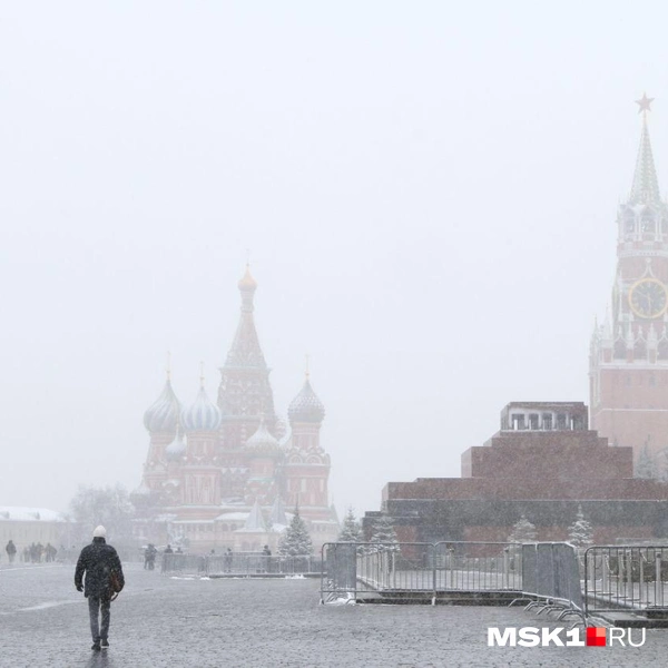 Источник: Татьяна Спиридонова / MSK1.RU