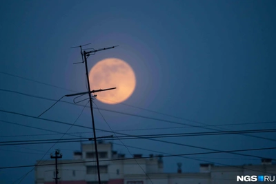 Розовая Луна взойдет над Россией 2 апреля 2026