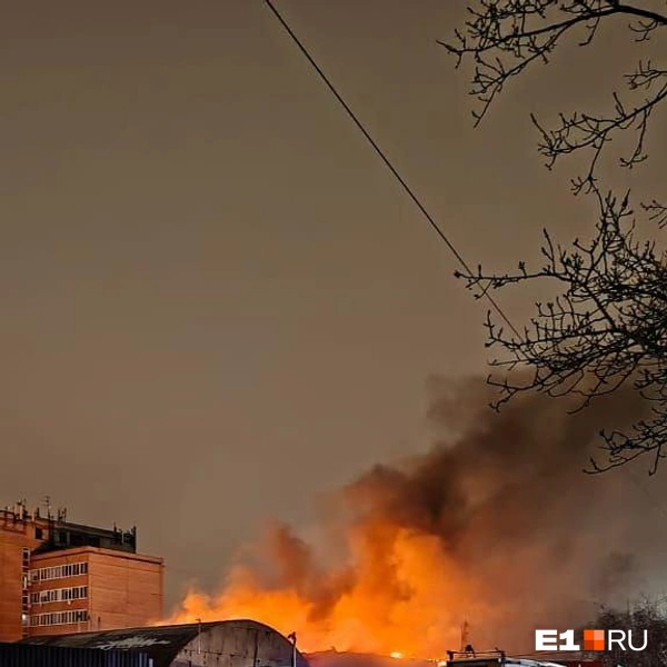 Источник: читательница E1.RU