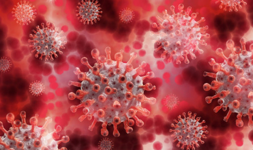 Пугающий ученых индийский штамм коронавируса добрался до Европы. Его обнаружили еще в двух странах