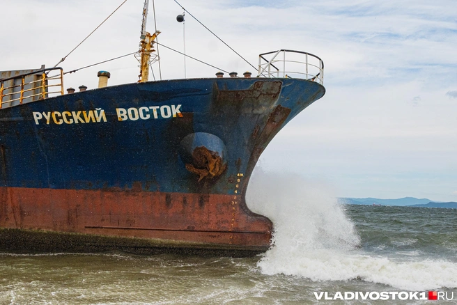 Источник: Елена Буйвол / VLADIVOSTOK1.RU