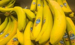 Бананы под защитой: правительство включило фрукт в список сельхозпродукции. В России начнут субсидировать выращивание бананов