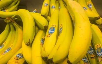 Бананы под защитой: правительство включило фрукт в список сельхозпродукции. В России начнут субсидировать выращивание бананов