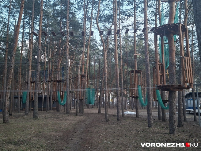 Источник: Алёна Воропаева / Voronezh1.ru