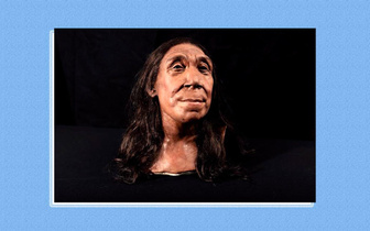 Посмотрите, как выглядела женщина-неандерталец: ее череп собрали из 200 осколков