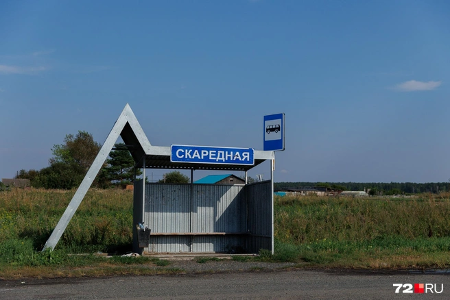 Первые случаи болезни у свиней якобы были выявлены в деревне Скаредная в Голышмановском округе. Здесь живут десятки человек  | Источник: Ирина Шарова / 72.RU