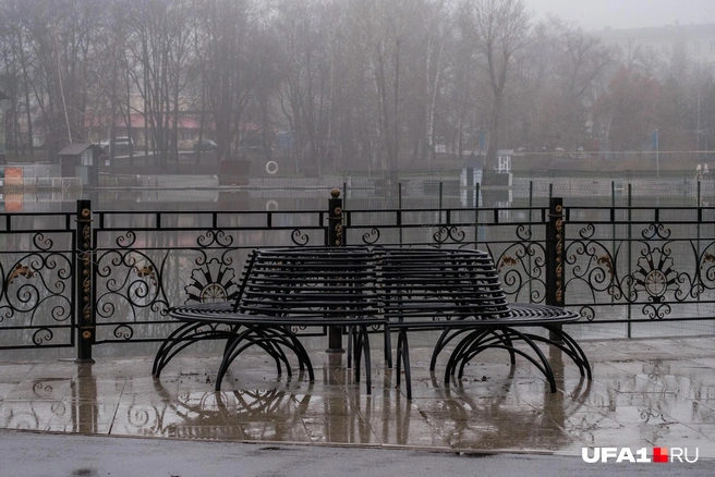 На зиму совсем не похоже | Источник: Булат Салихов / UFA1.RU