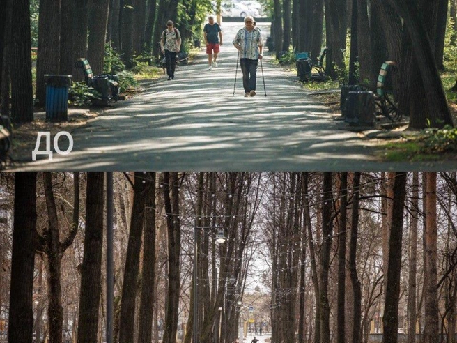 Пешеходные дорожки стали комфортнее и лучше освещены | Источник: glavaekbofficial / t.me