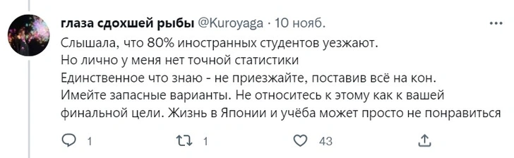 Русская студентка раскрыла в «Твиттере» всю неприглядную правду об учебе и жизни в Японии