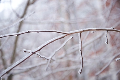 Freezing rain hits Voronezh — when will it end?