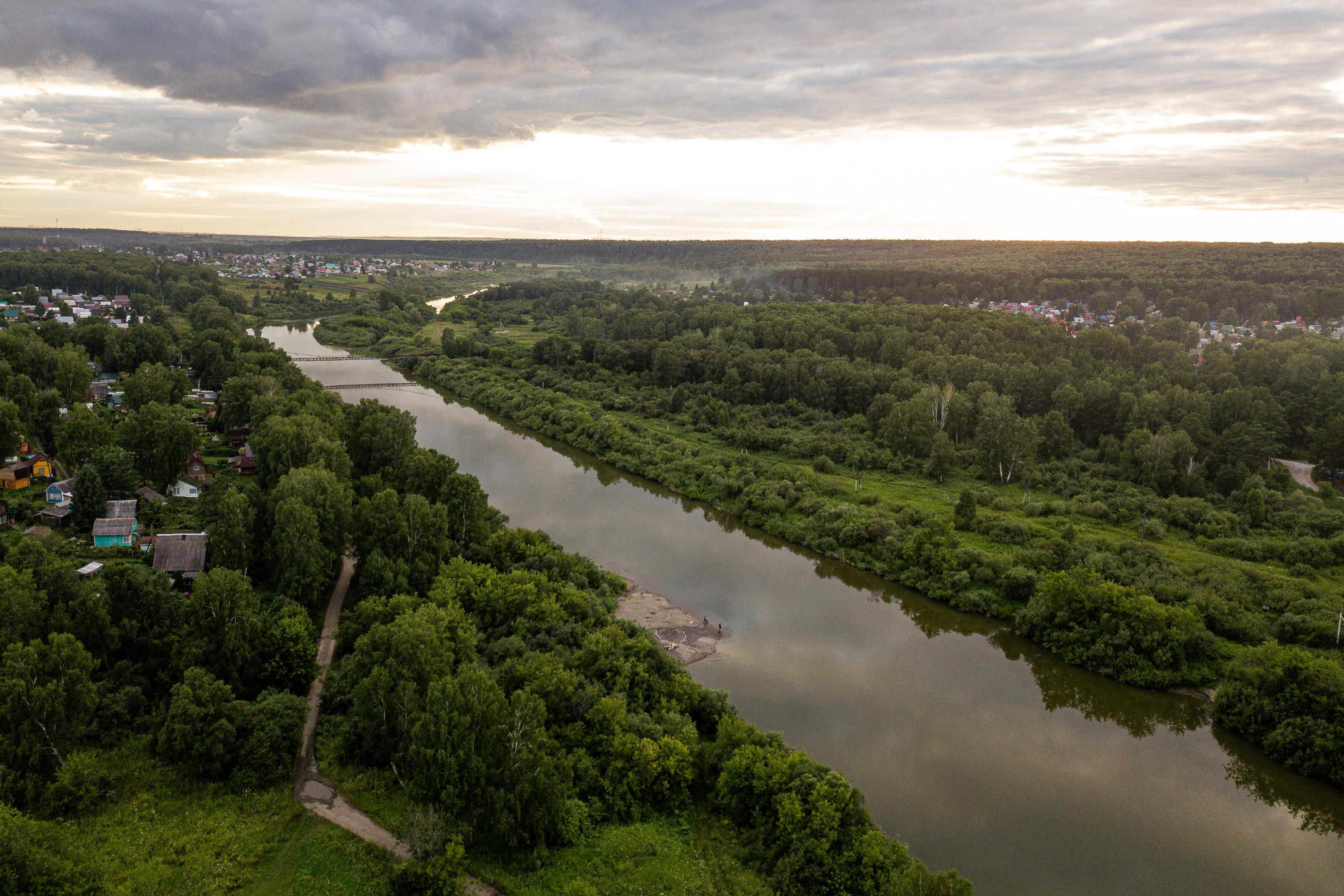 Прогулка по СНТ «Бурводовец» на берегу Ини, обзор дачного поселка  «Бурводовец» на берегу Ини - 31 июля 2021 - НГС.ру