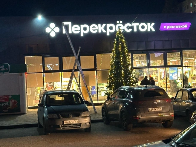 Первая новогодняя ель появилась в районе Спартановки | Источник: читатели V1.RU