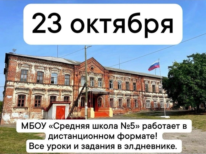 Школы перевели на дистанционное обучение | Источник: «МБОУ „Средняя школа № 5 г. Городец“» / Vk.com
